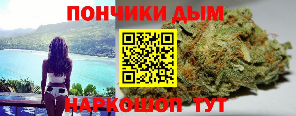 Канабис конопля Котлас
