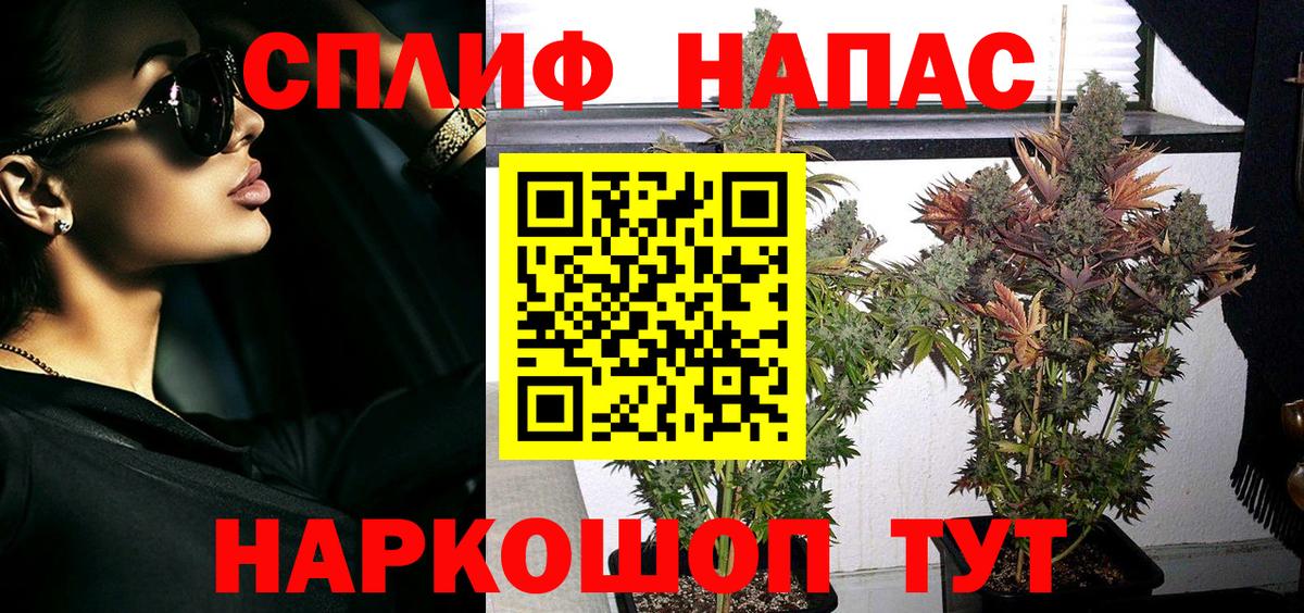 Конопля ГИДРОПОН  Бошки марихуана план  Вход с VPN  Котлас  Бошки Шишки индика  Бошки марихуана Ganja 